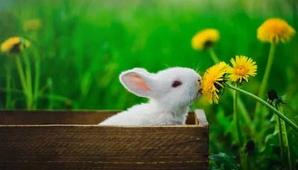 开云体育官网-如获珍“宝”！走进申花温姓小将：感激2位崔导的栽培